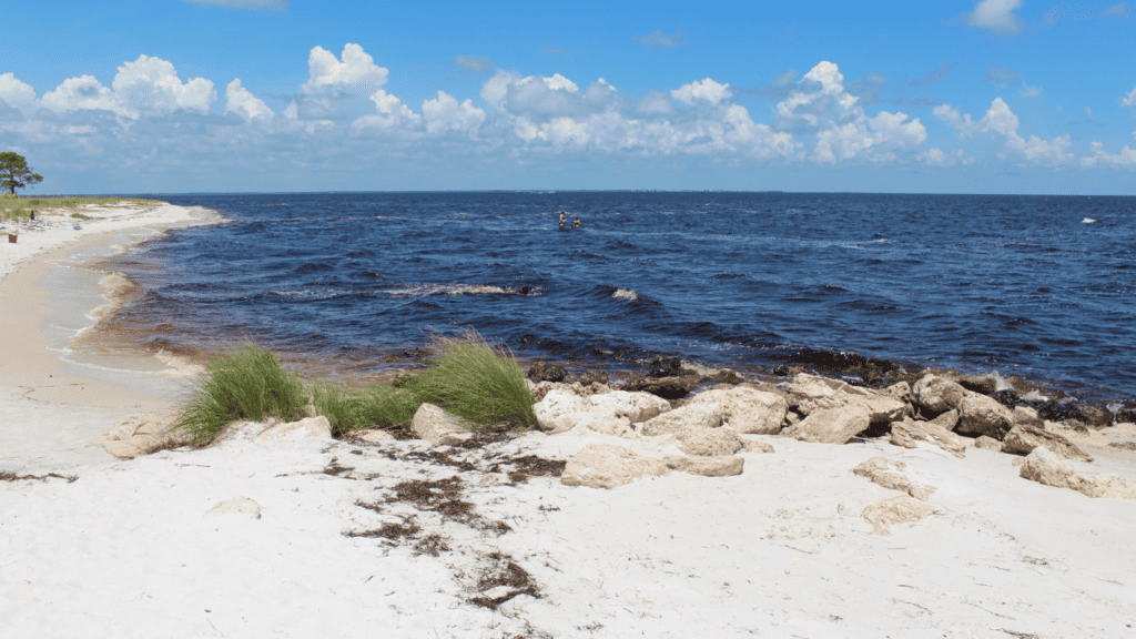 alligator point with beach view and a red bucket in the distance.
