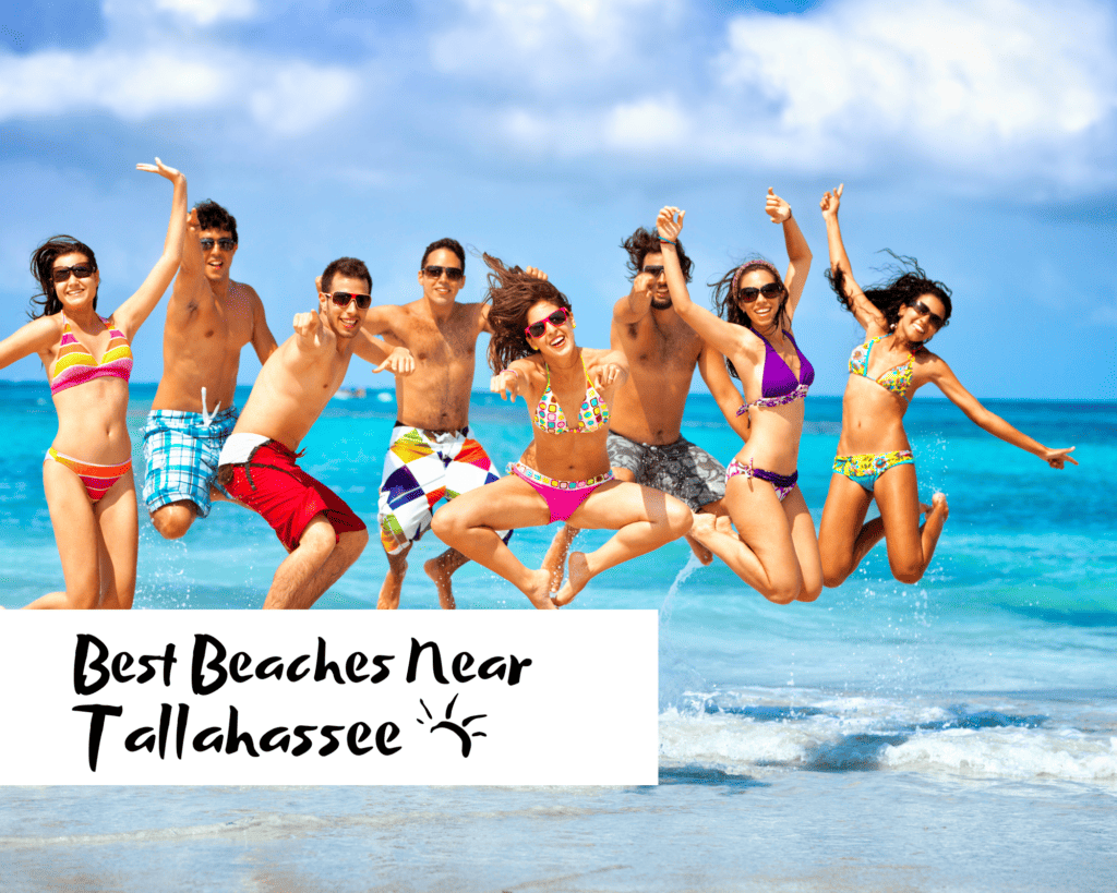 Lets Go to The Beach Photo by Canva beaches near tallahassee