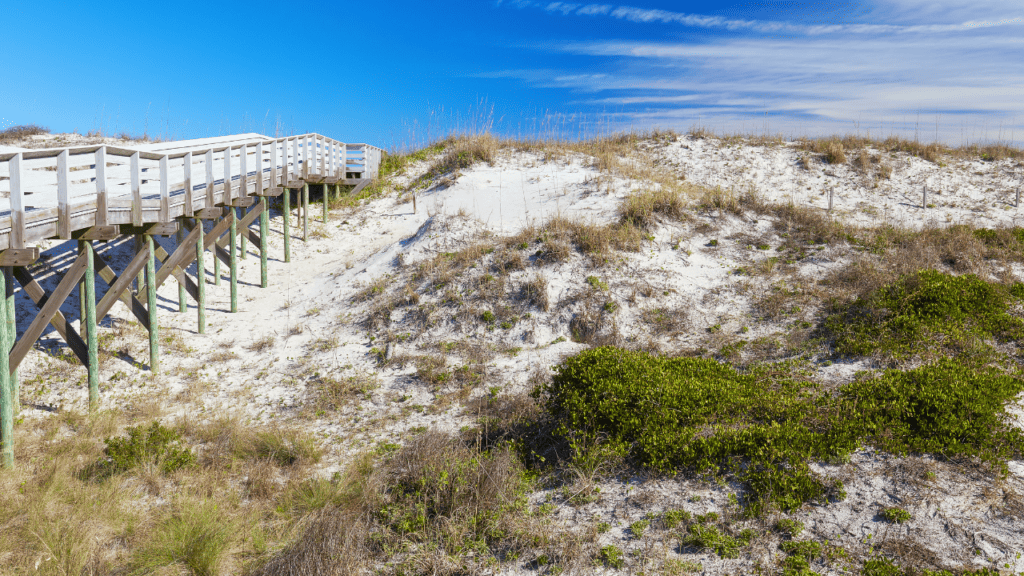 Anastasia State Park