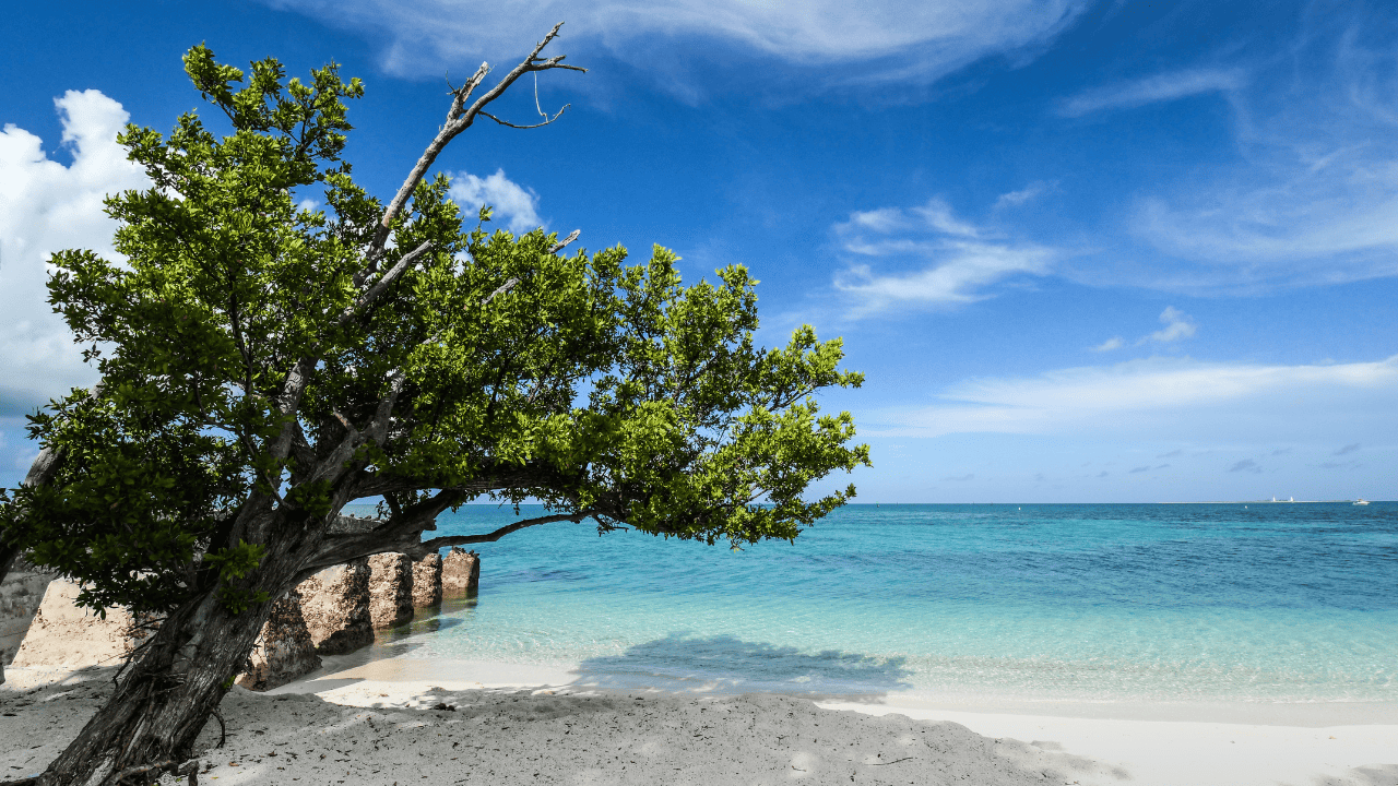 Dry Tortugas National Park
