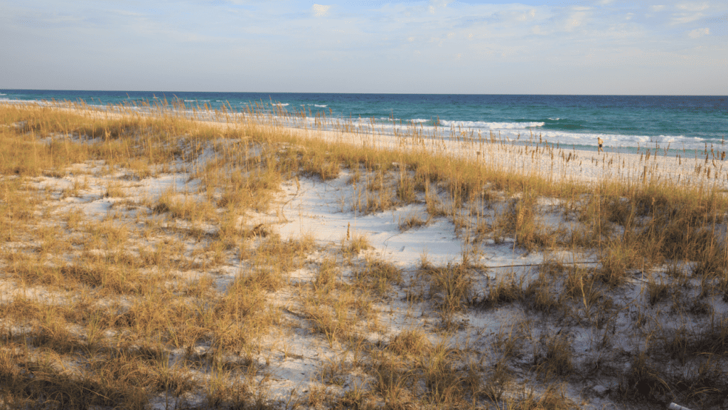 Henderson Beach State Park