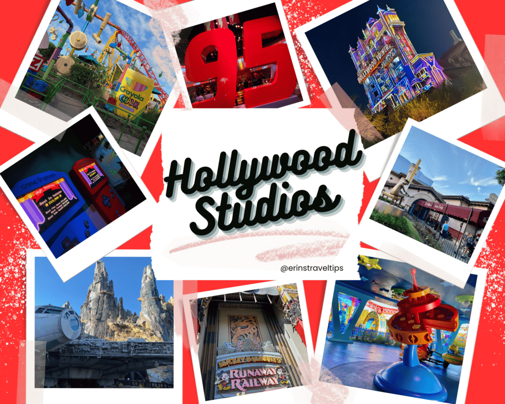 Hollywood Studios collage of Erin's photos