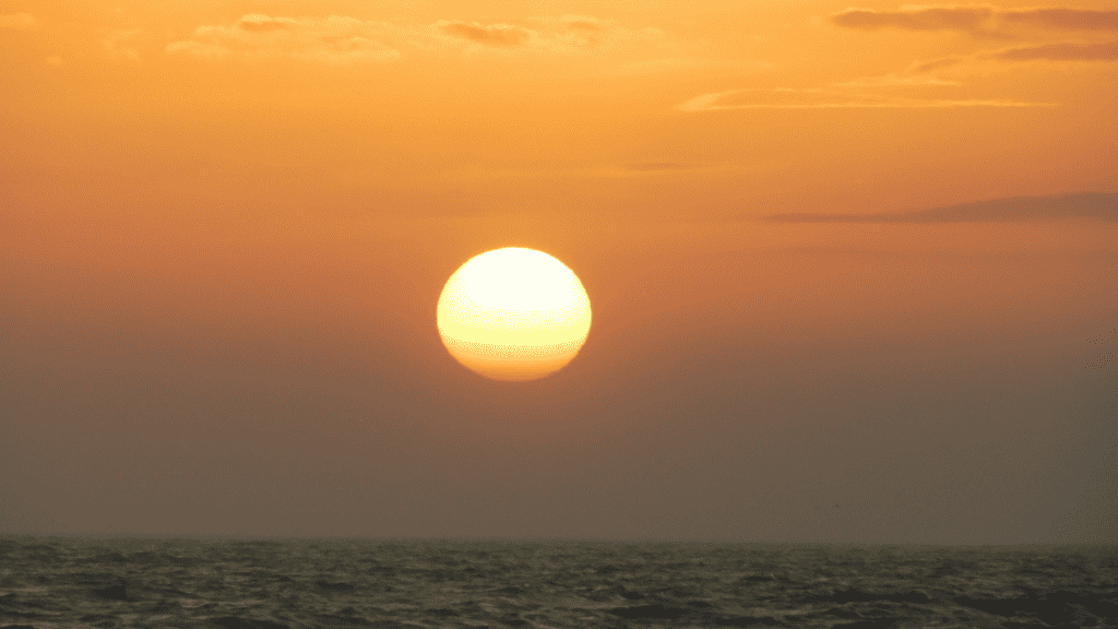 Honeymoon Island State Park at sunset with orange hues
