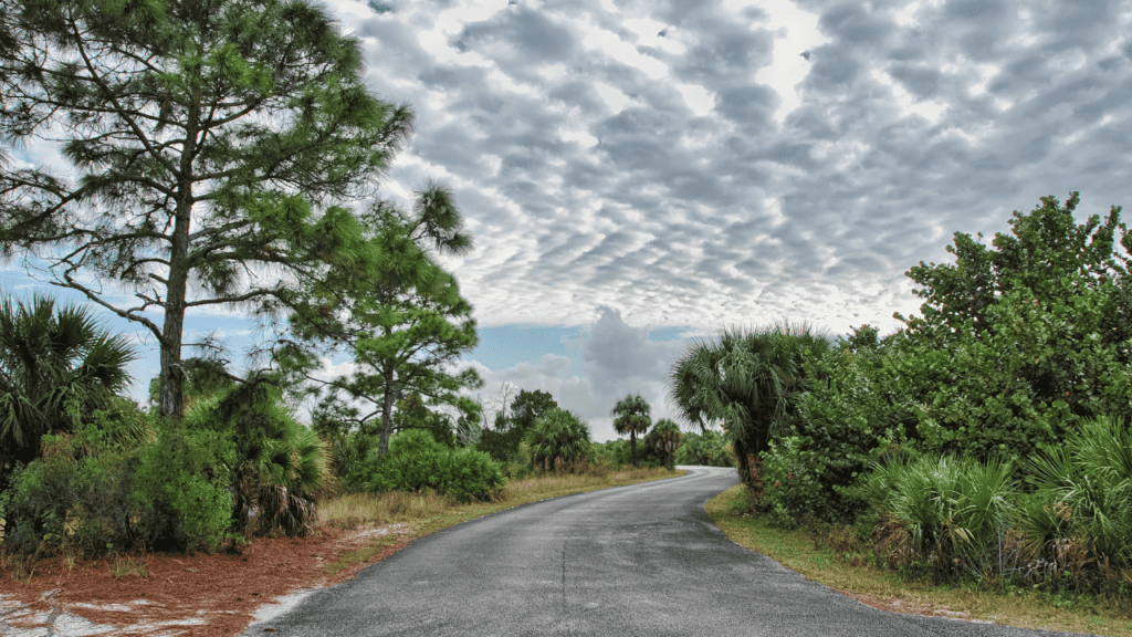 Honeymoon Island State Park entrance road shown that it's a small one way road