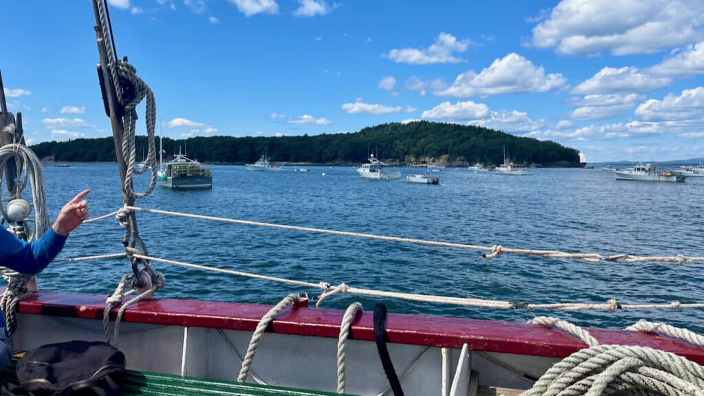 Views from our Bar Harbor boat tour