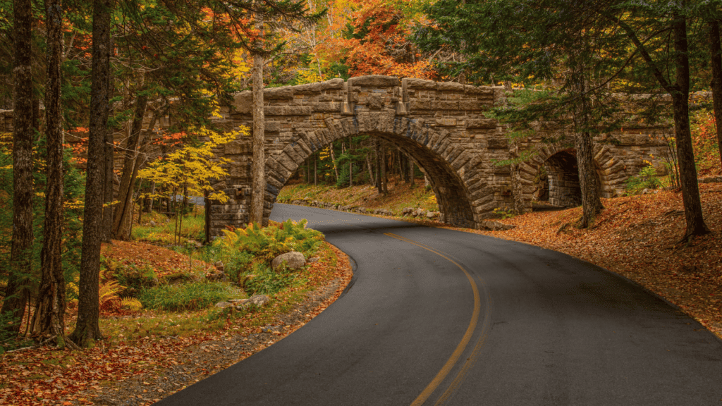 Carriage Roads Photo in the fall by Canva