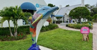 Best Dunedin restaurants showing quaint shopping district with restaurants nearby in Dunedin, Florida
