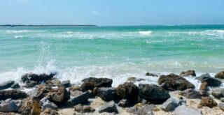 pass-a-grille beach photo of beautiful blue green water